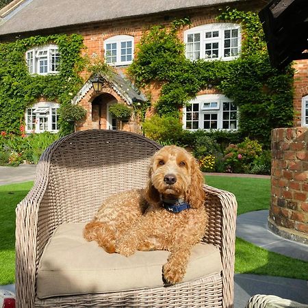 Little Woodside A Beautiful New Forest Self Contained Private Luxury Annexe ニュー・ミルトン エクステリア 写真