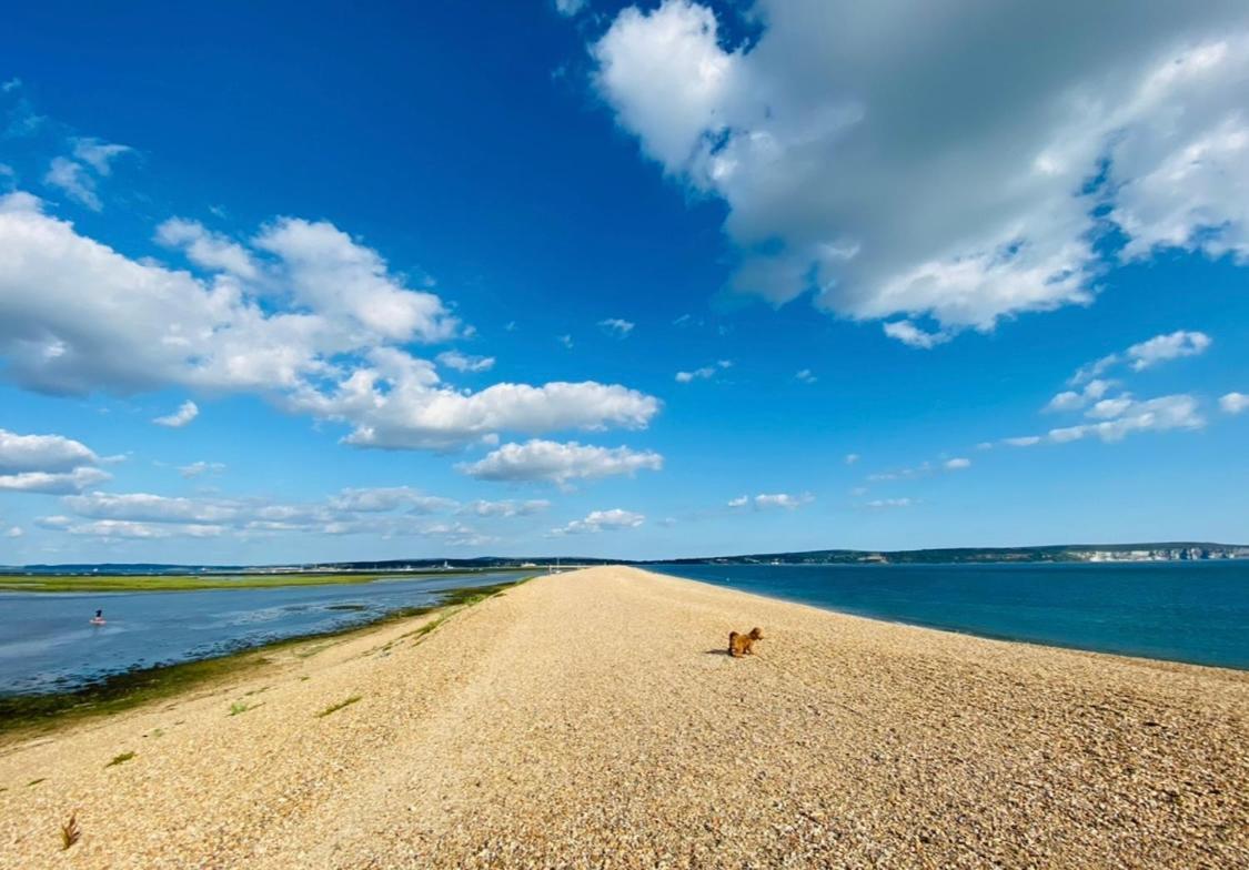 Little Woodside A Beautiful New Forest Self Contained Private Luxury Annexe ニュー・ミルトン エクステリア 写真