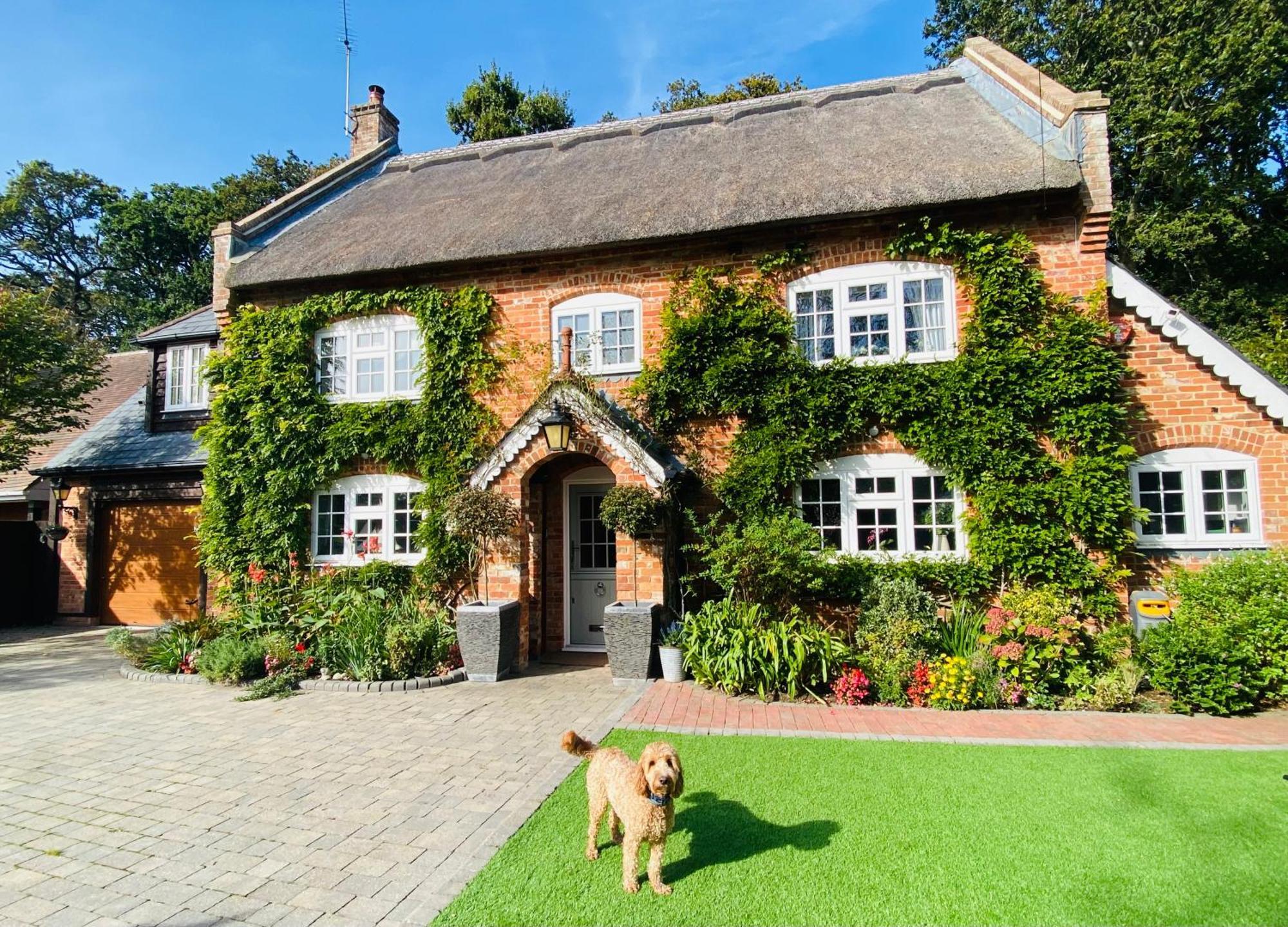 Little Woodside A Beautiful New Forest Self Contained Private Luxury Annexe ニュー・ミルトン エクステリア 写真