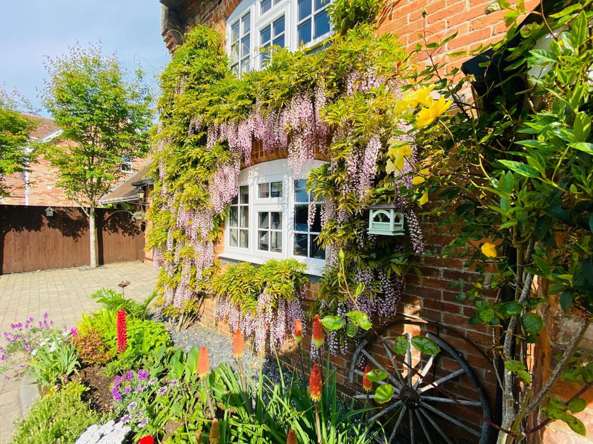 Little Woodside A Beautiful New Forest Self Contained Private Luxury Annexe ニュー・ミルトン エクステリア 写真