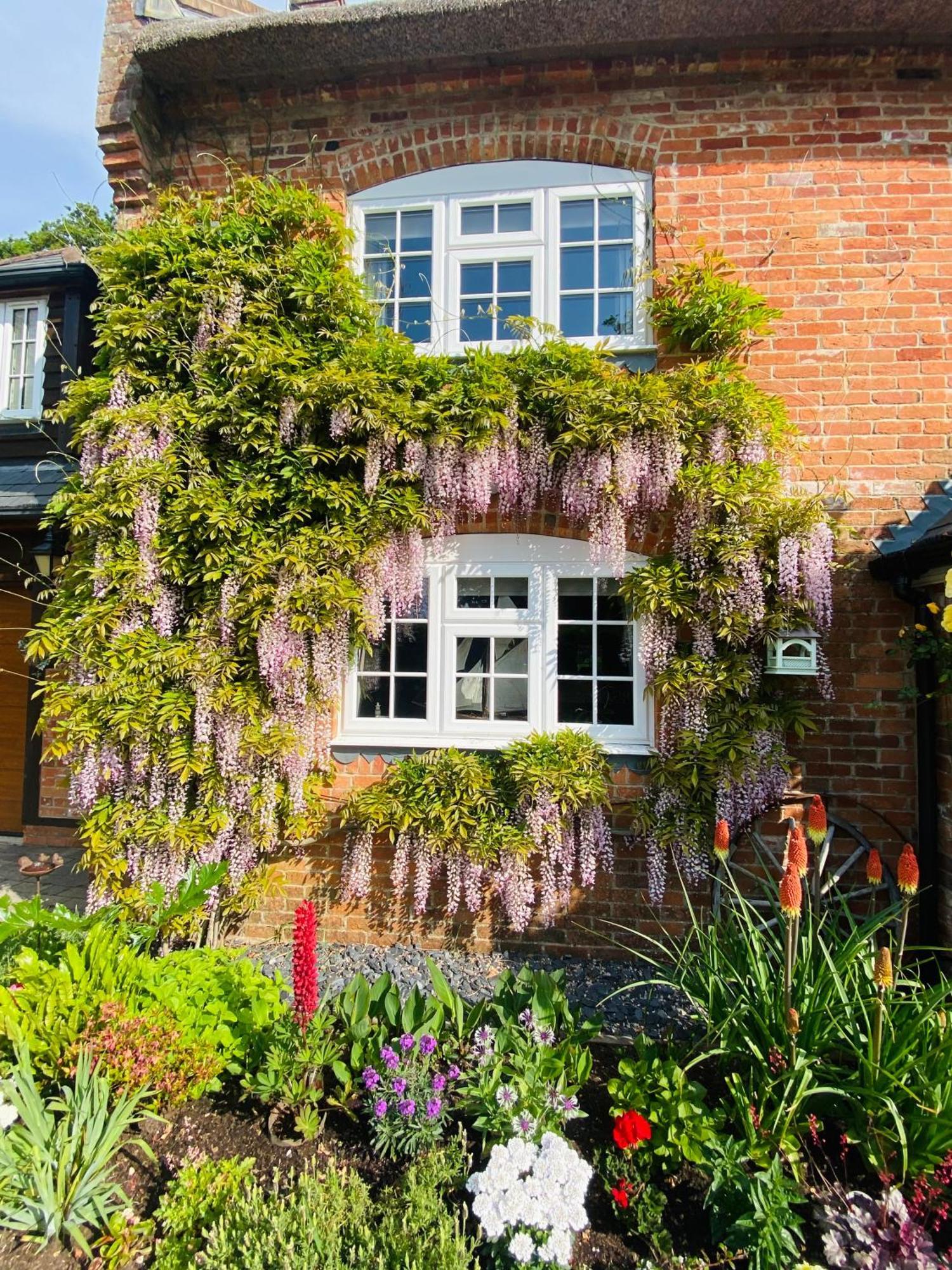 Little Woodside A Beautiful New Forest Self Contained Private Luxury Annexe ニュー・ミルトン エクステリア 写真
