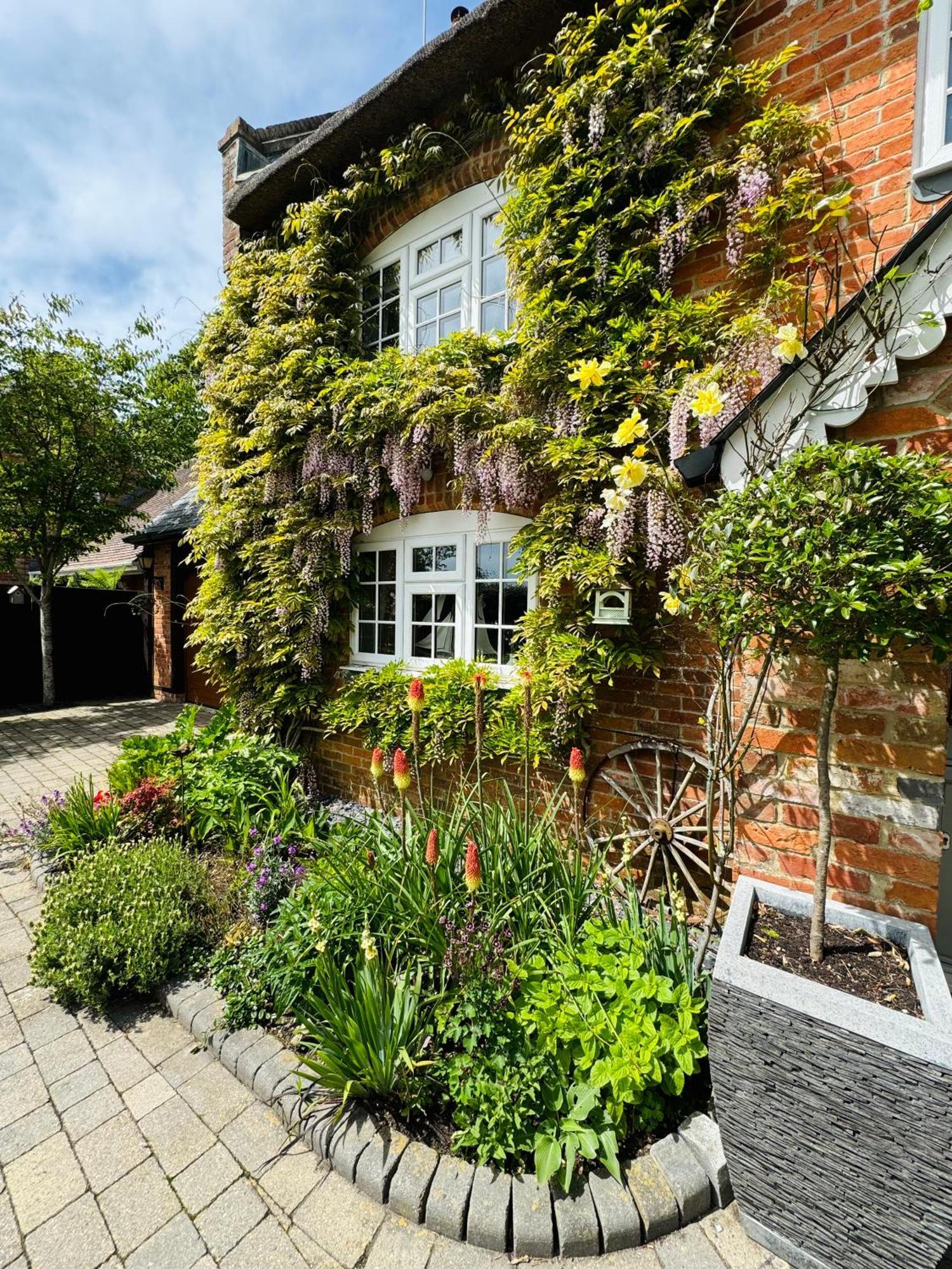 Little Woodside A Beautiful New Forest Self Contained Private Luxury Annexe ニュー・ミルトン エクステリア 写真