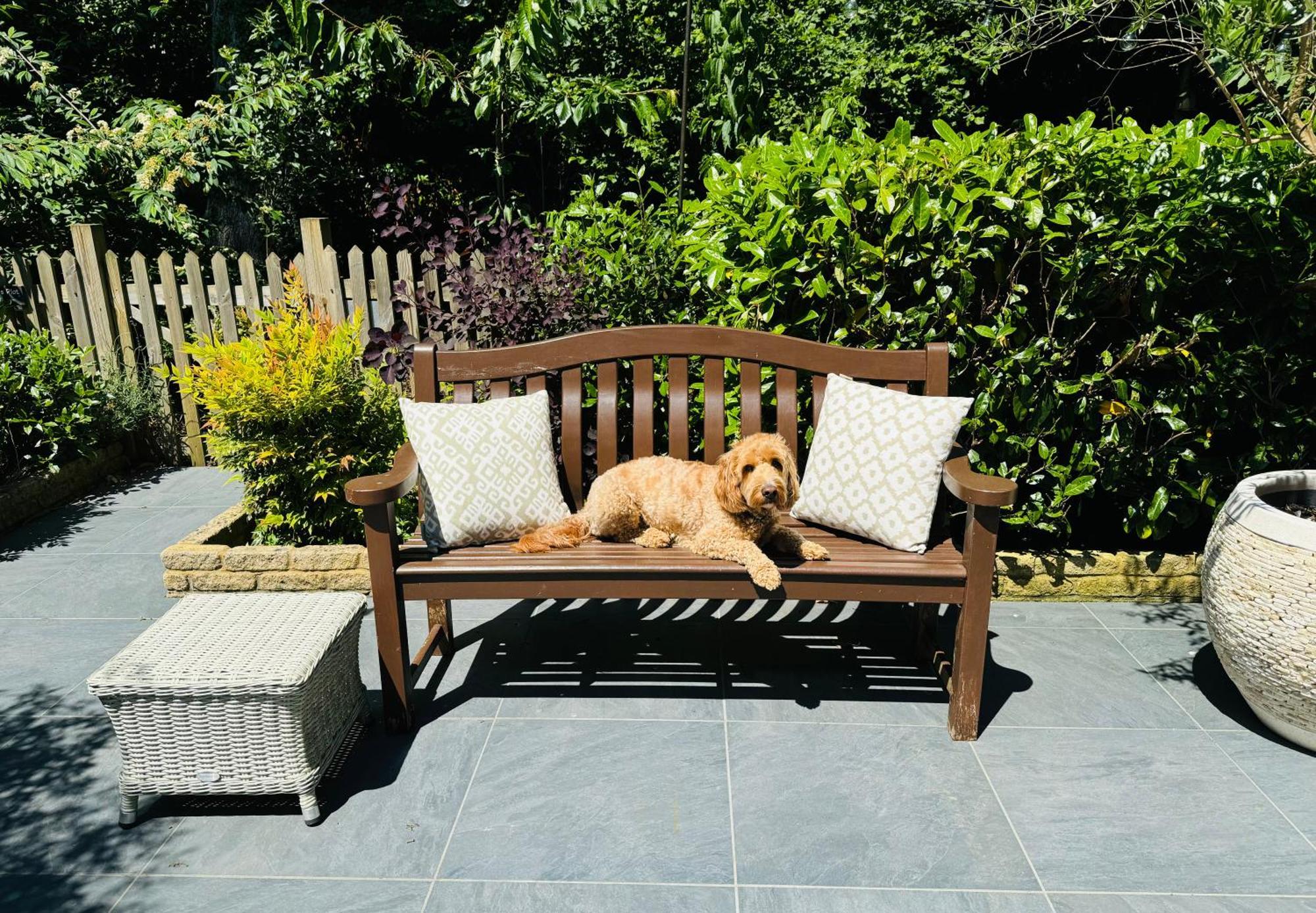 Little Woodside A Beautiful New Forest Self Contained Private Luxury Annexe ニュー・ミルトン エクステリア 写真